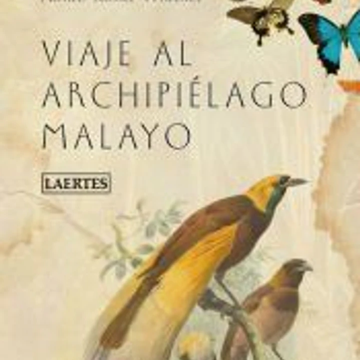 Viaje al Archipiélago Malayo 1