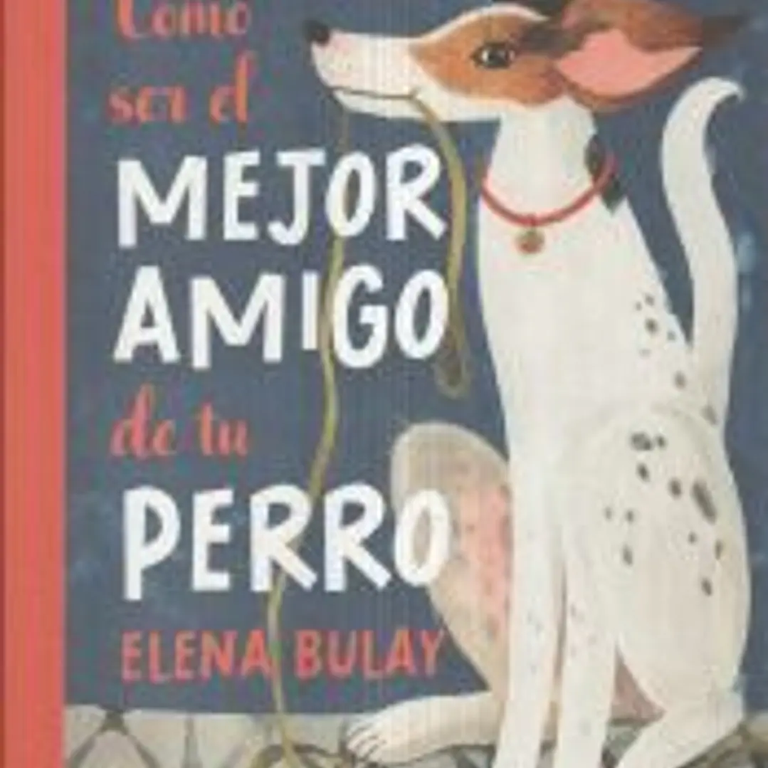 Cómo ser el mejor amigo de tu perro 1