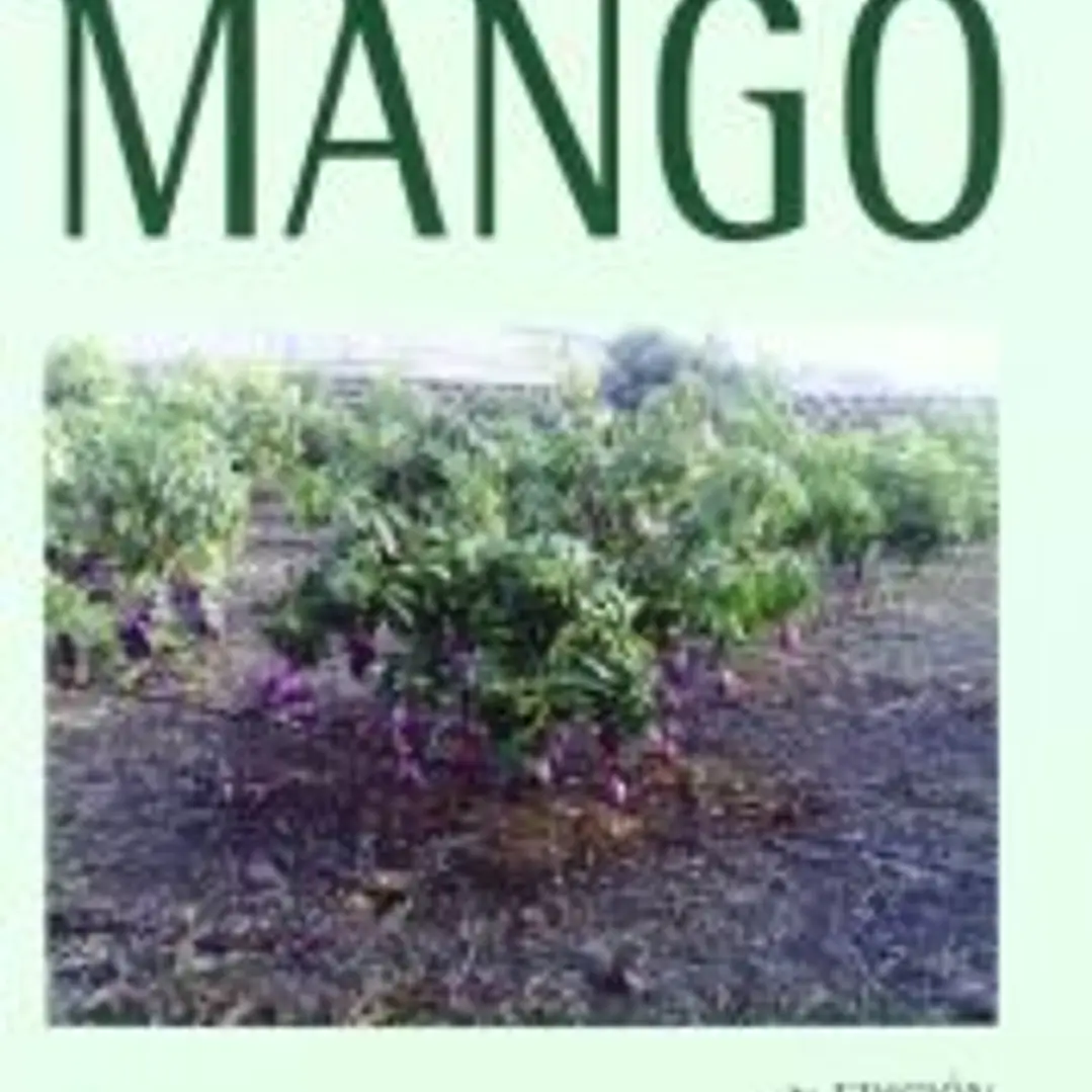 El cultivo del mango 1
