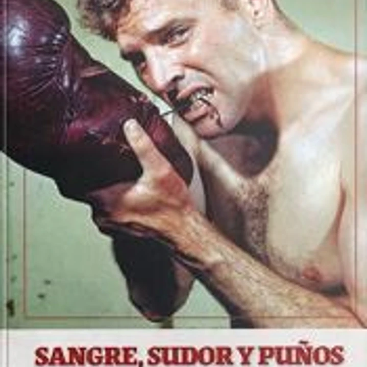 SANGRE SUDOR Y PUÑOS EL BOXEO EN EL CINE 1