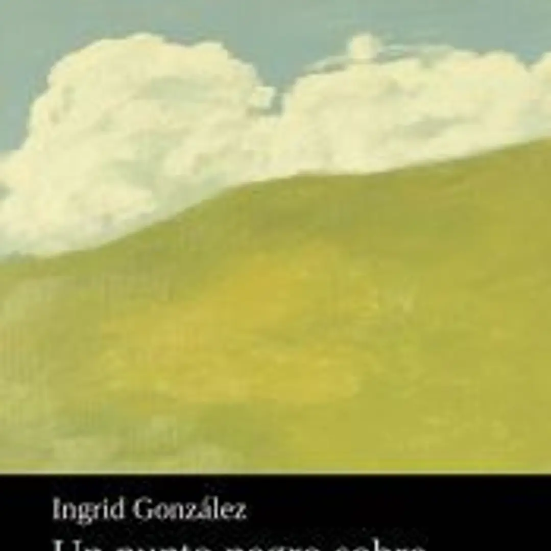 Un punto negro sobre un cielo de verano 1