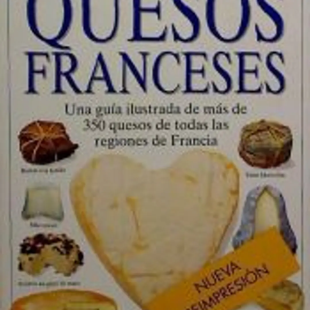 QUESOS FRANCESES 1