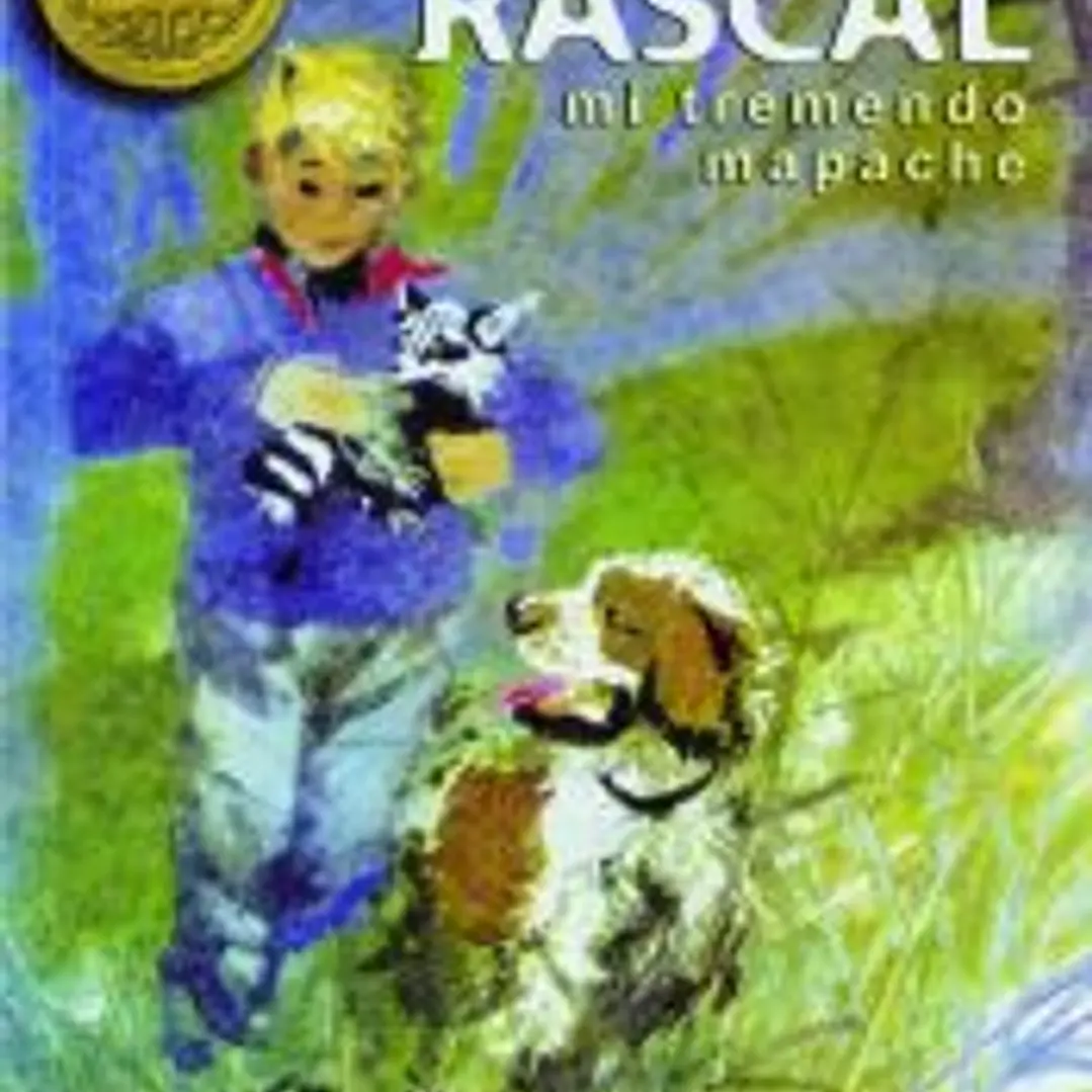 Rascal, mi tremendo mapache 1