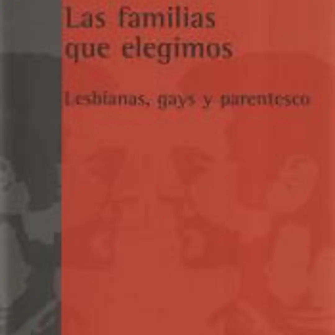 Las familias que elegimos : lesbianas, gays y parentesco 1