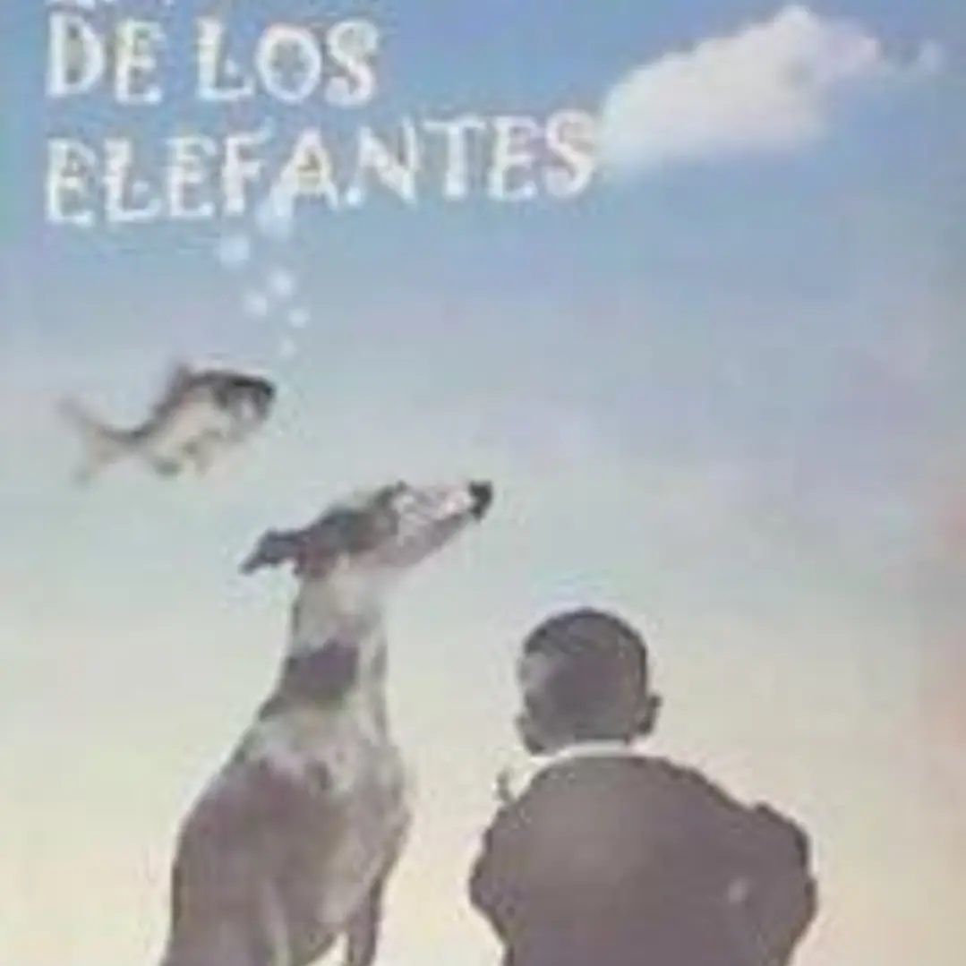 En busca de los elefantes 1