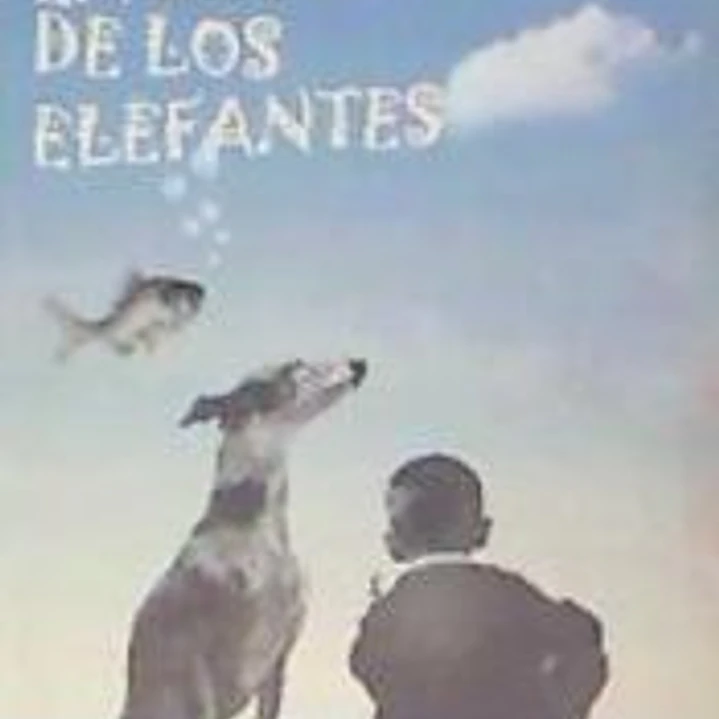 En busca de los elefantes 1