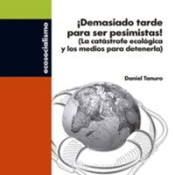 Demasiado tarde para ser pesimista 1