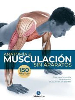 Anatomía & Musculación sin aparatos