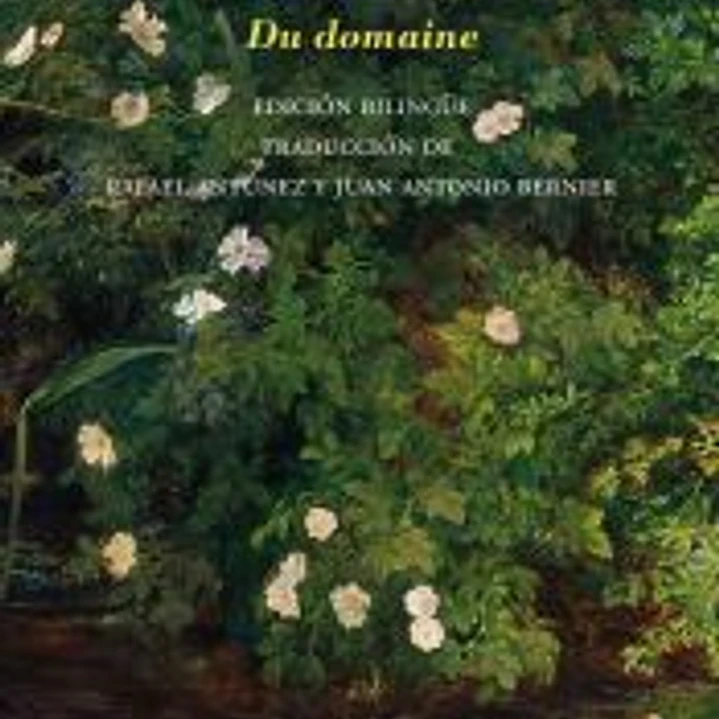 Del Dominio 1