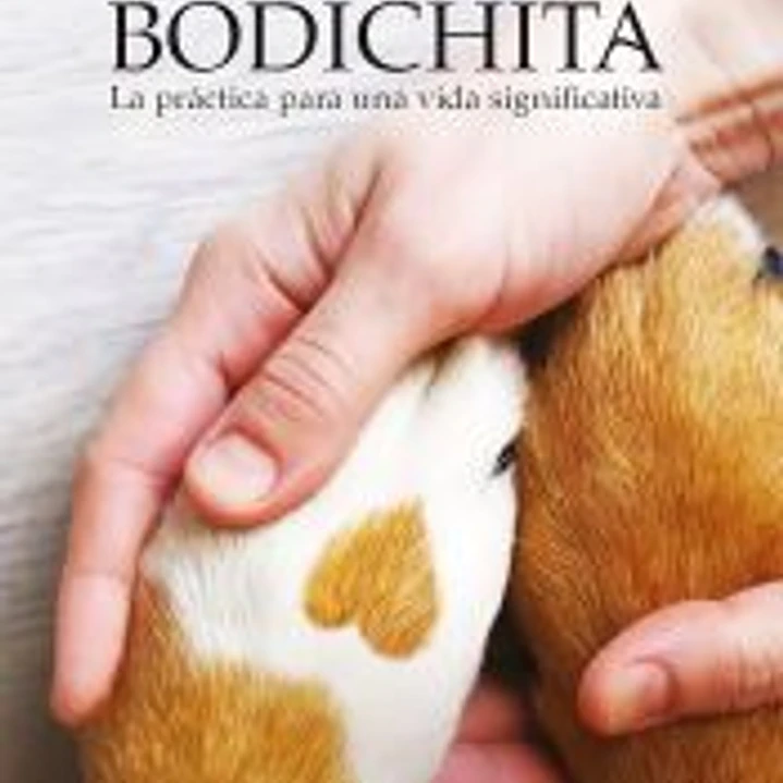 Bodichita 1