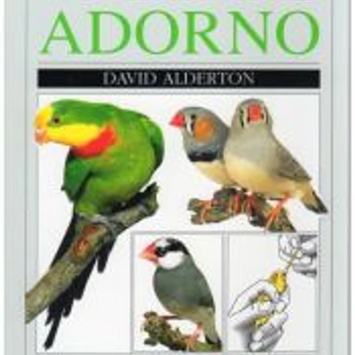 AVES DE ADORNO 1