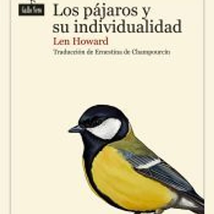 Los pájaros y su individualidad 1