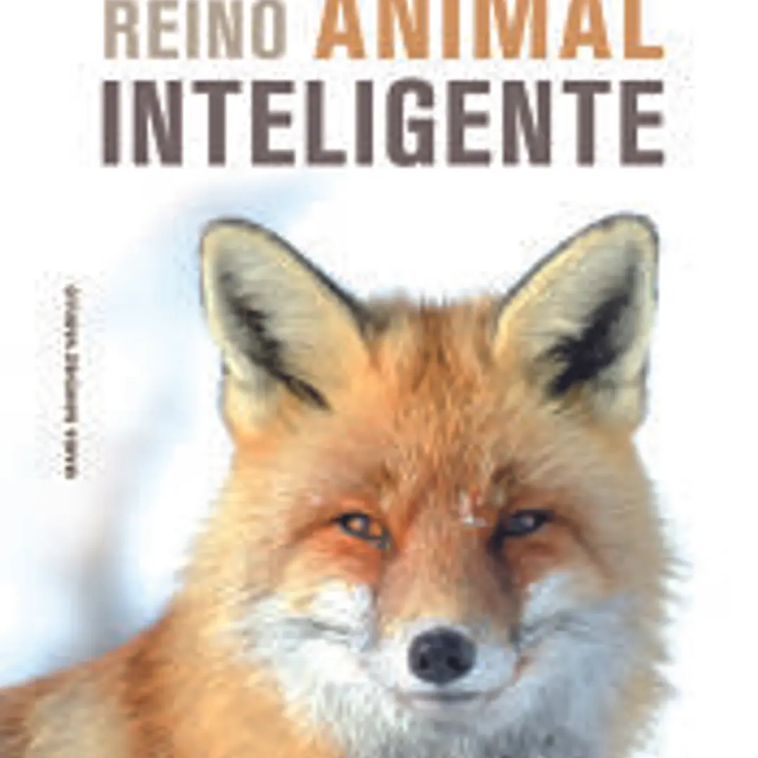 Reino Animal Inteligente 1