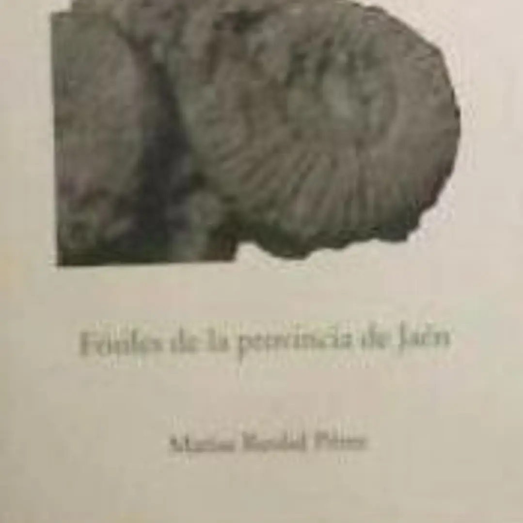 FOSILES DE LA PROVINCIA DE JAEN. (JAEN EN EL BOLSILLO, 2) 1