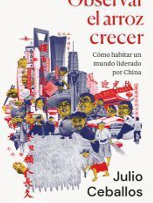 Observar el arroz crecer