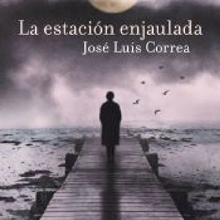 La estación enjaulada 1