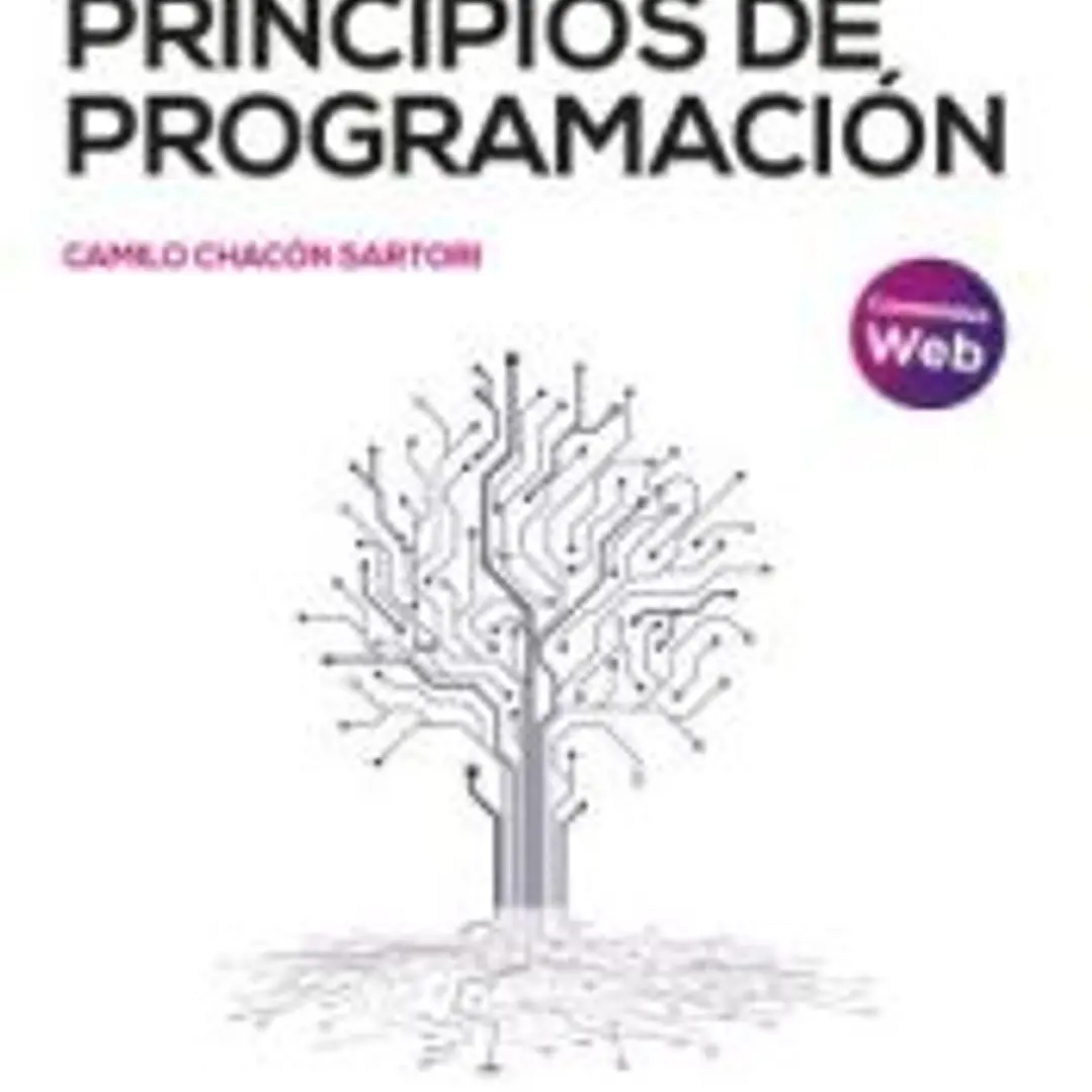 Principios de programación 1