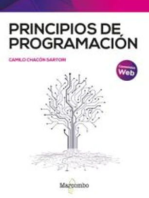 Principios de programación