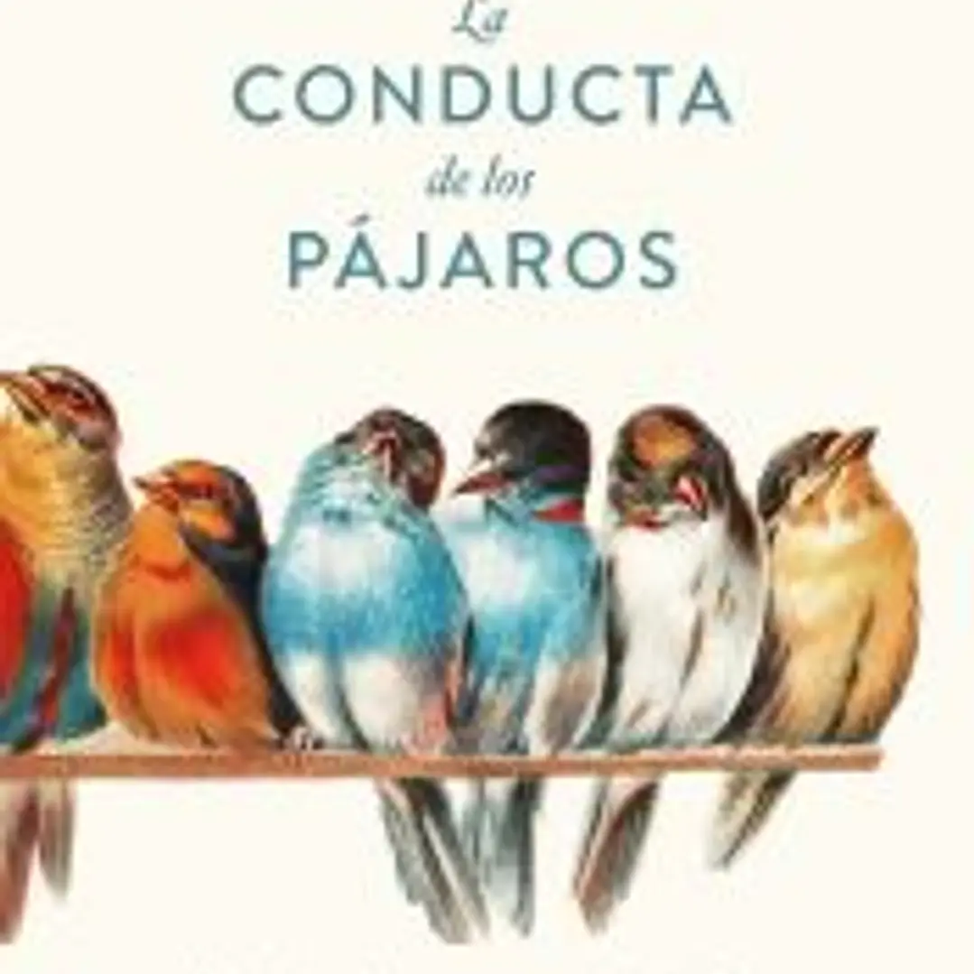 La conducta de los pájaros 1