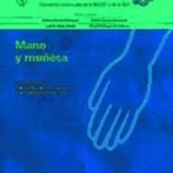 Monografías médico-quirúrgicas del aparato locomotor: La mano y la muñeca 1