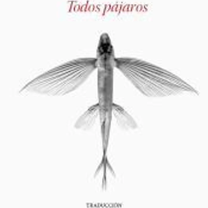 Todos pájaros 1