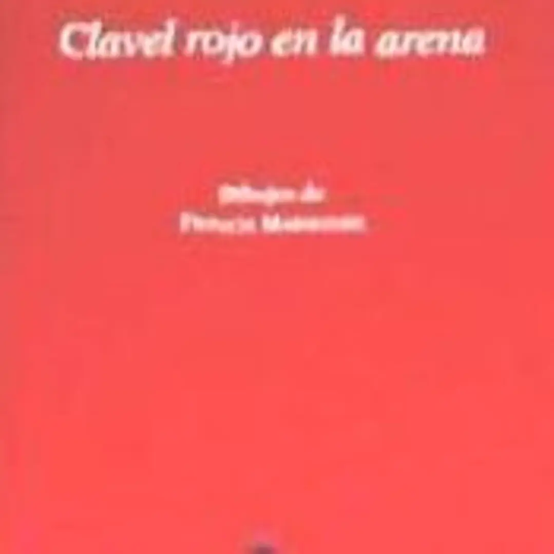 Clavel rojo en la arena 1