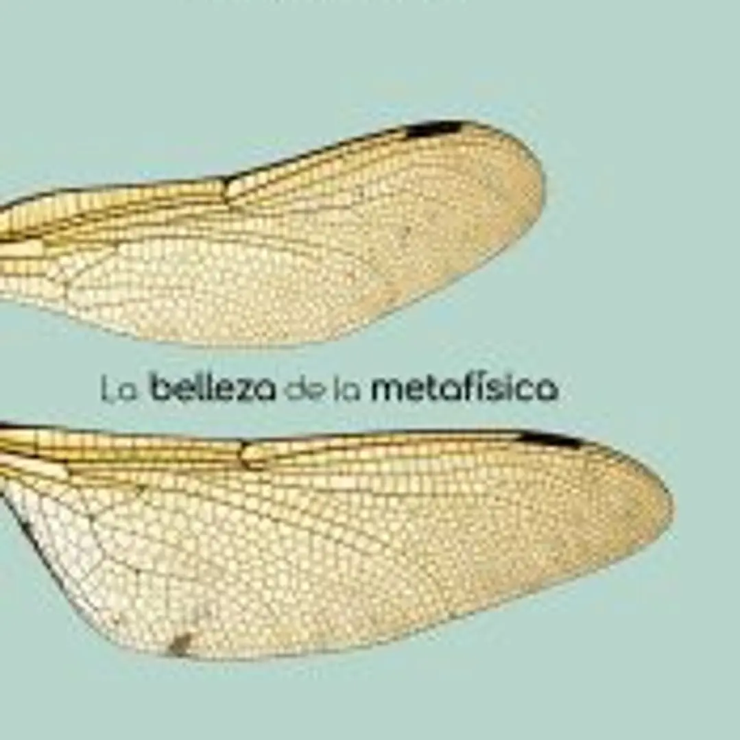 BELLEZA DE LA METAFÍSICA, LA 1