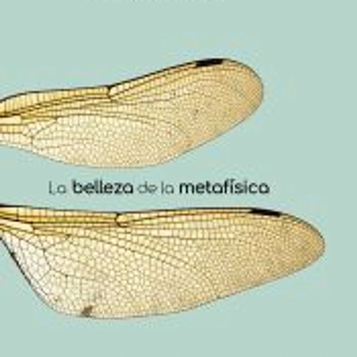 BELLEZA DE LA METAFÍSICA, LA 1