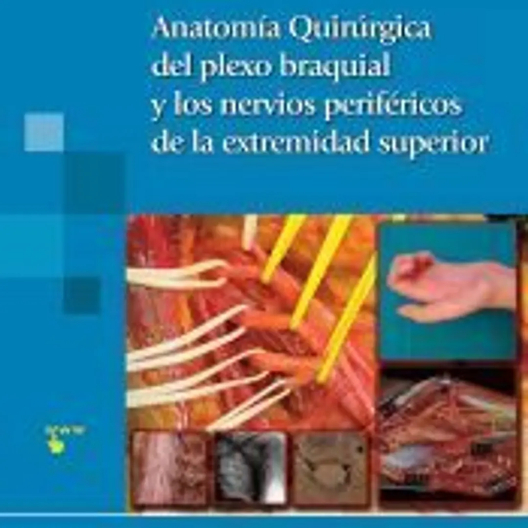 Anatomía quirúrgica del plexo braquial y nervios periféricos de la extremidad superior 1