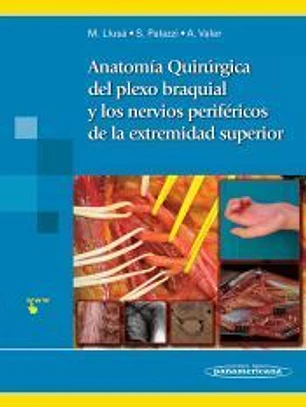 Anatomía quirúrgica del plexo braquial y nervios periféricos de la extremidad superior