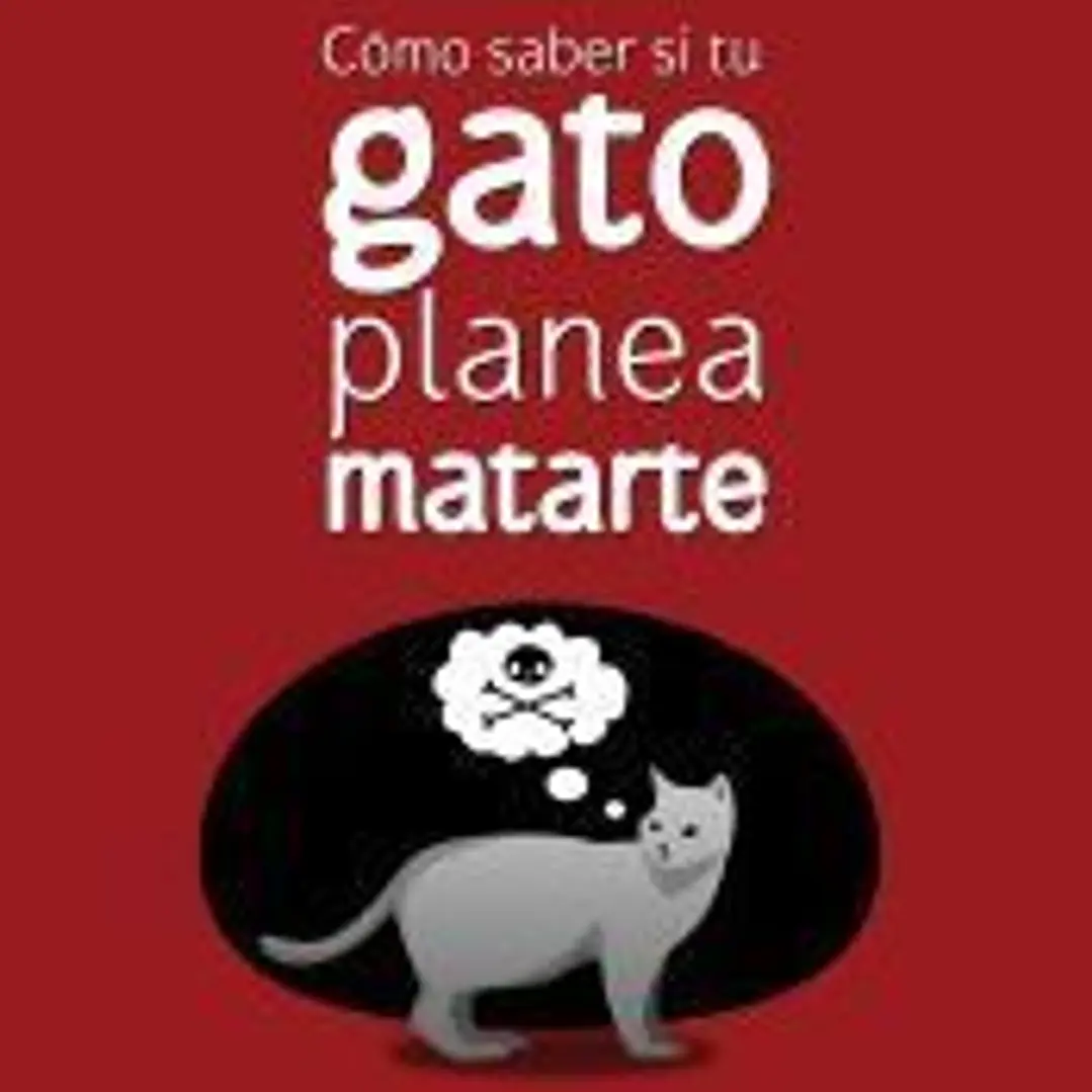 Cómo saber si tu gato planea matarte 1