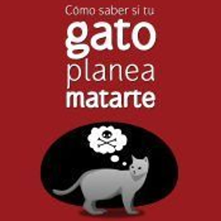 Cómo saber si tu gato planea matarte 1