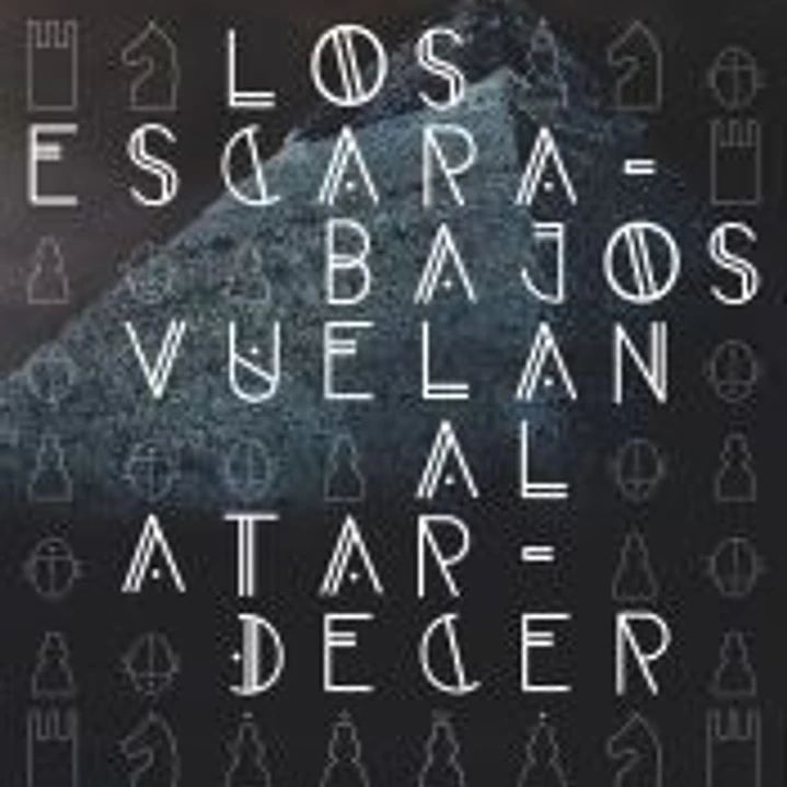 Los escarabajos vuelan al atardecer 1