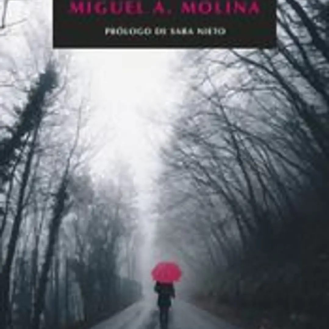 Diluvio personal 1