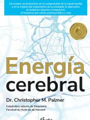 Energía cerebral