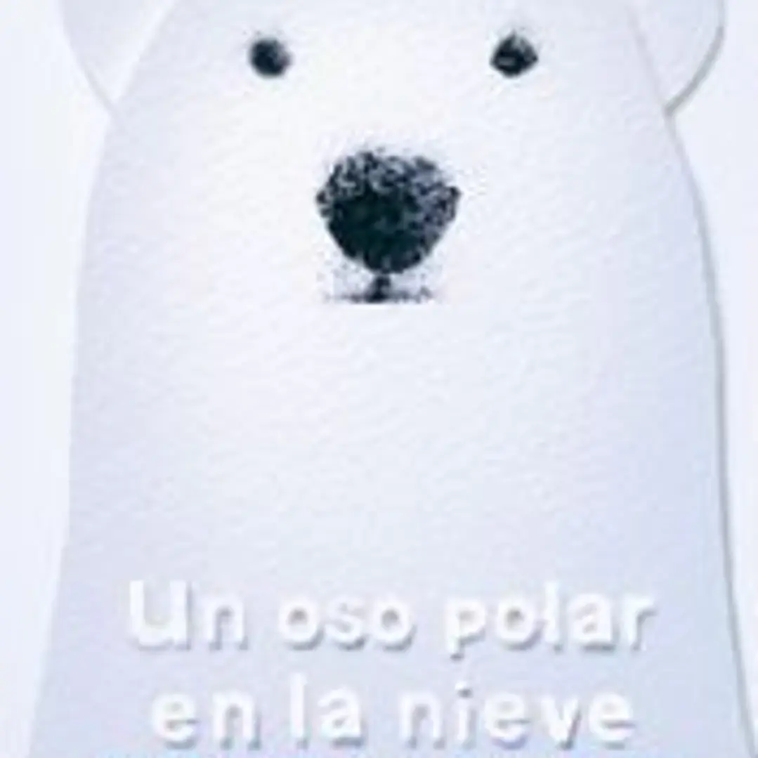 Un oso polar en la nieve 1