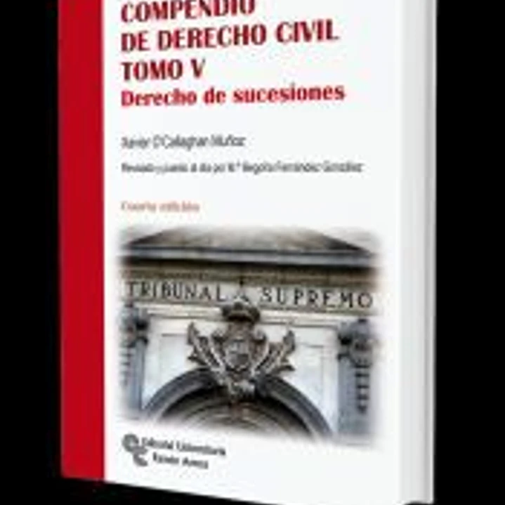 Compendio de Derecho Civil. Tomo V 1