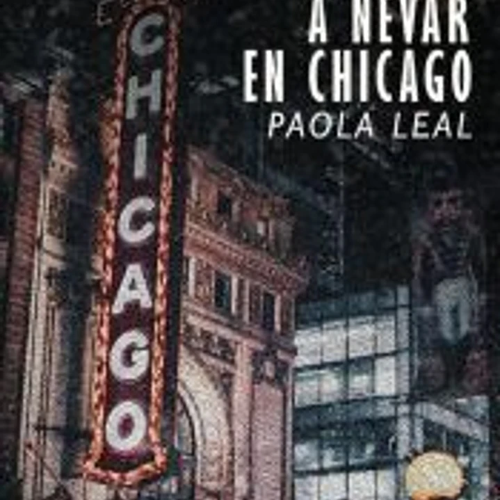 Vuelve a nevar en Chicago 1