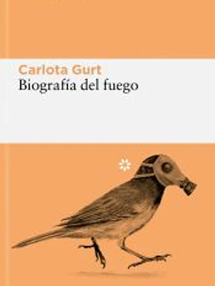 Biografía del fuego