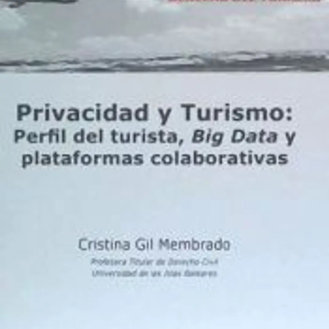 Privacidad y turismo: perfil del turista, Big Data y plataformas colaborativas 1