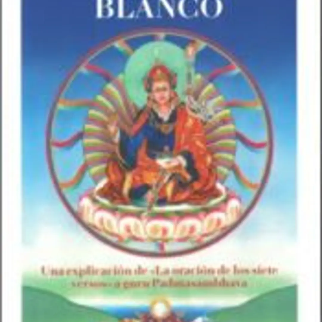 El loto blanco 1