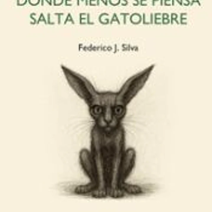 DONDE MENOS SE PIENSA SALTA EL GATOLIEBRE 1