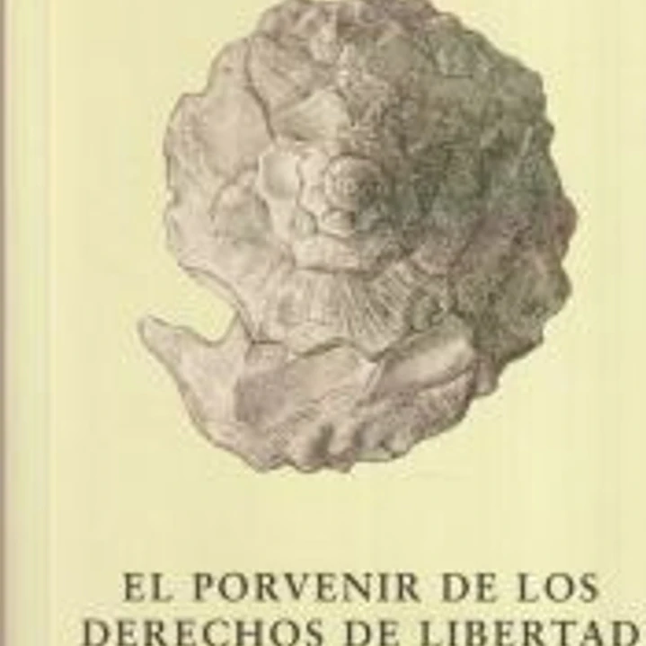 El porvenir de los derechos de libertad 1