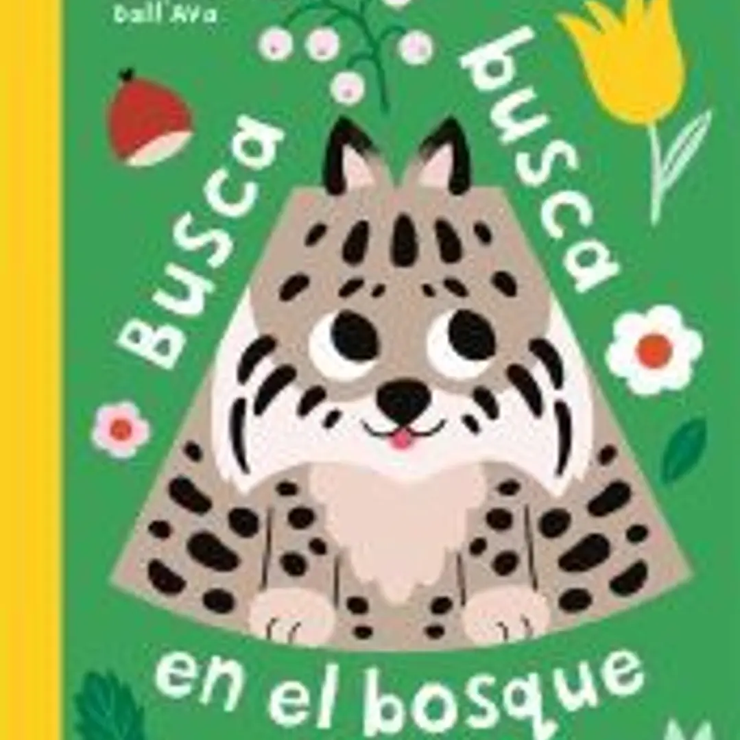 Busca busca en el bosque 1