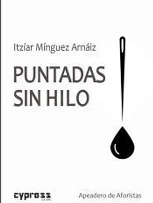 Puntadas Sin Hilo