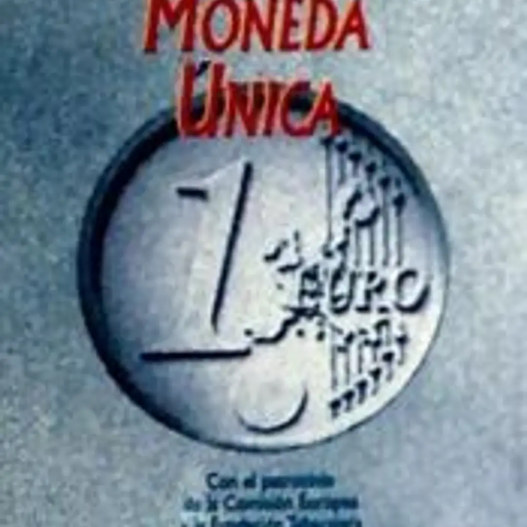 Breve diccionario de la moneda única 1
