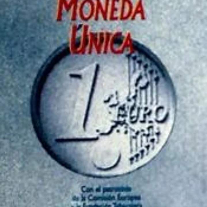Breve diccionario de la moneda única 1