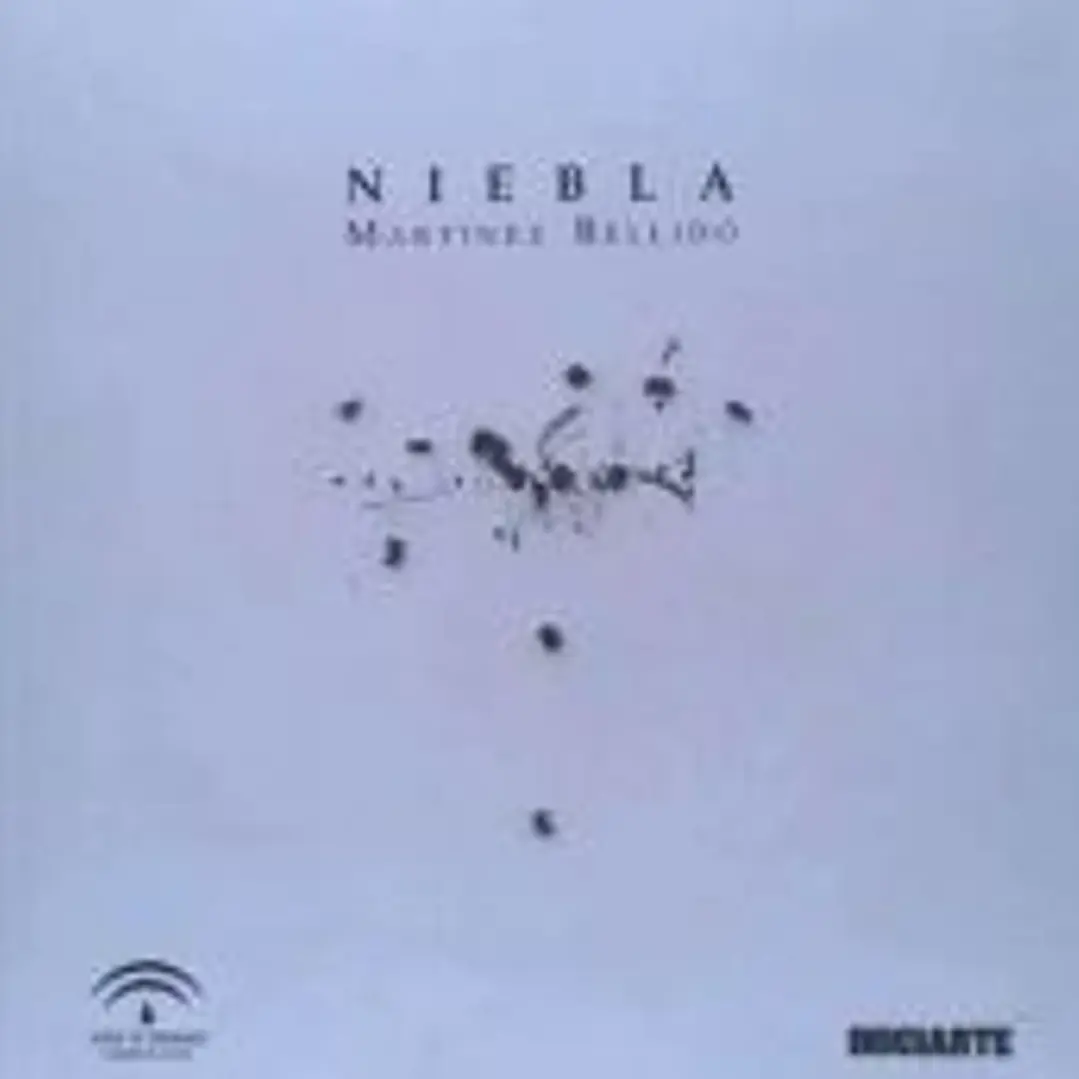Niebla 1