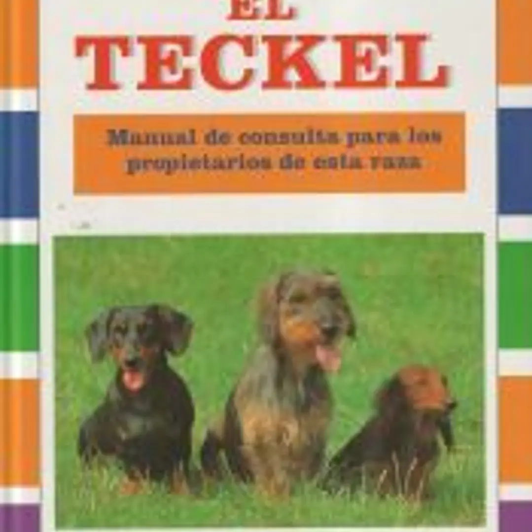 EL TECKEL 1