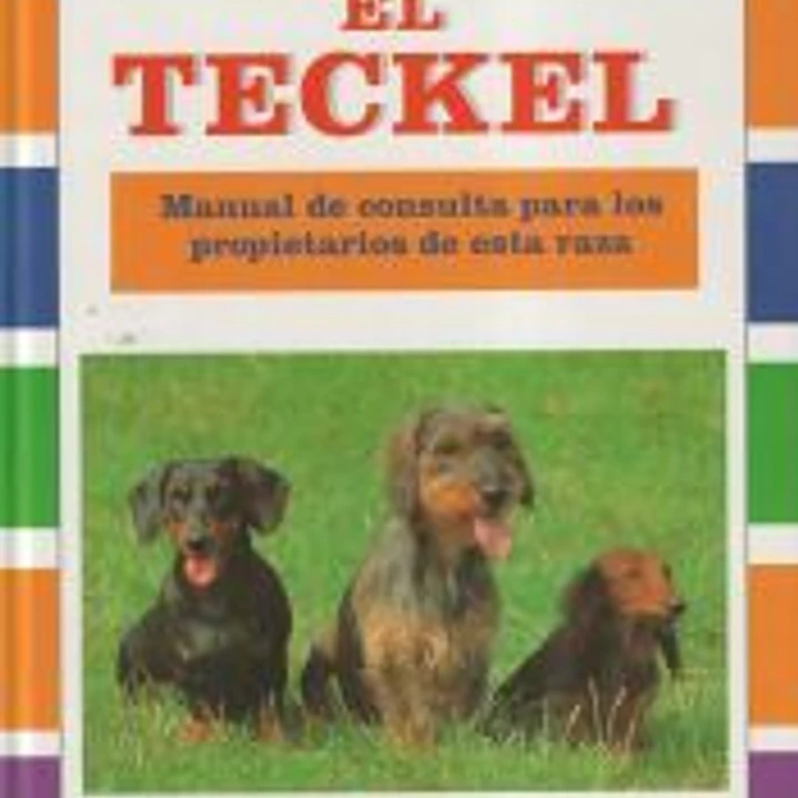 EL TECKEL 1